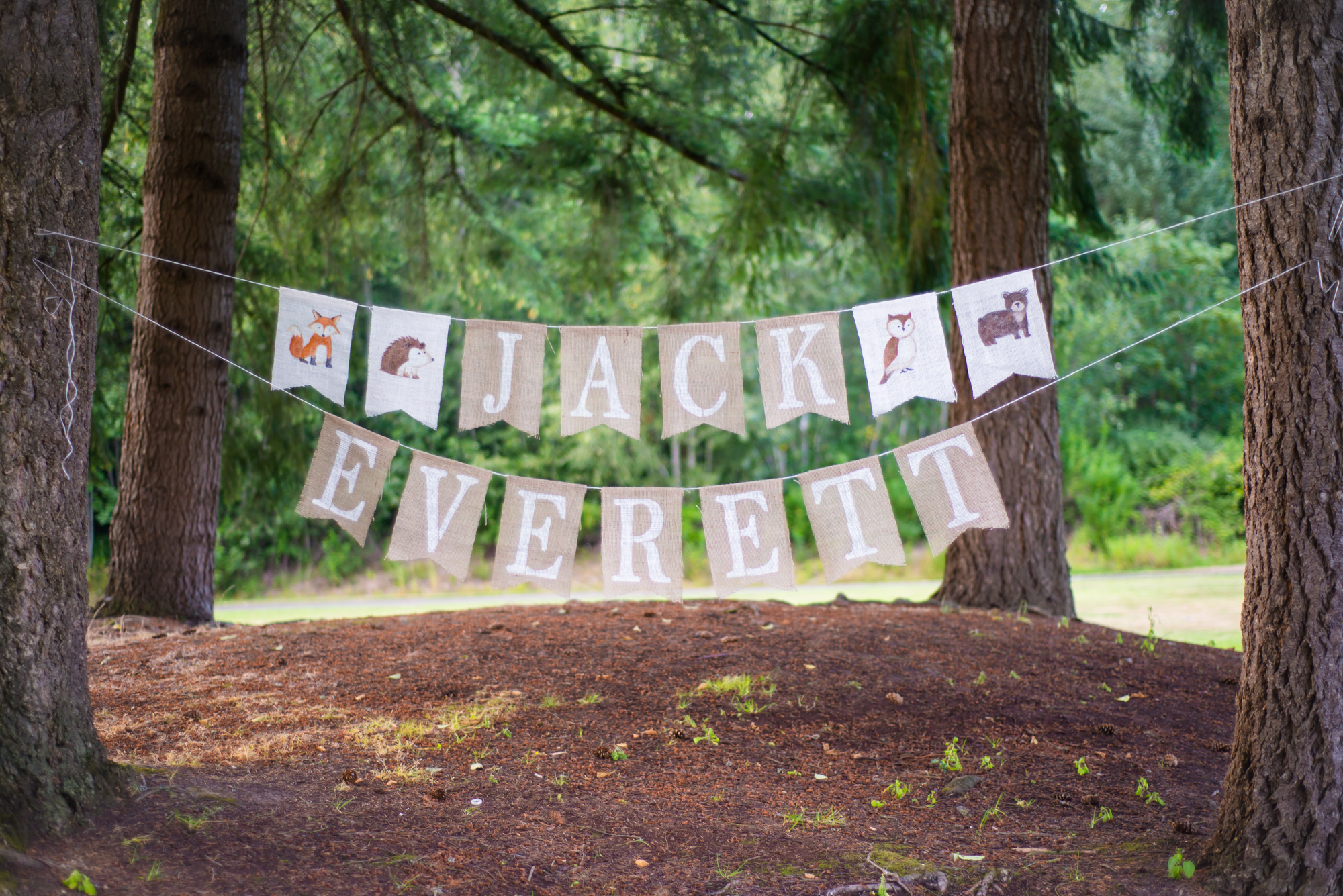 Adorable Rustic Forest Animal Bunting!