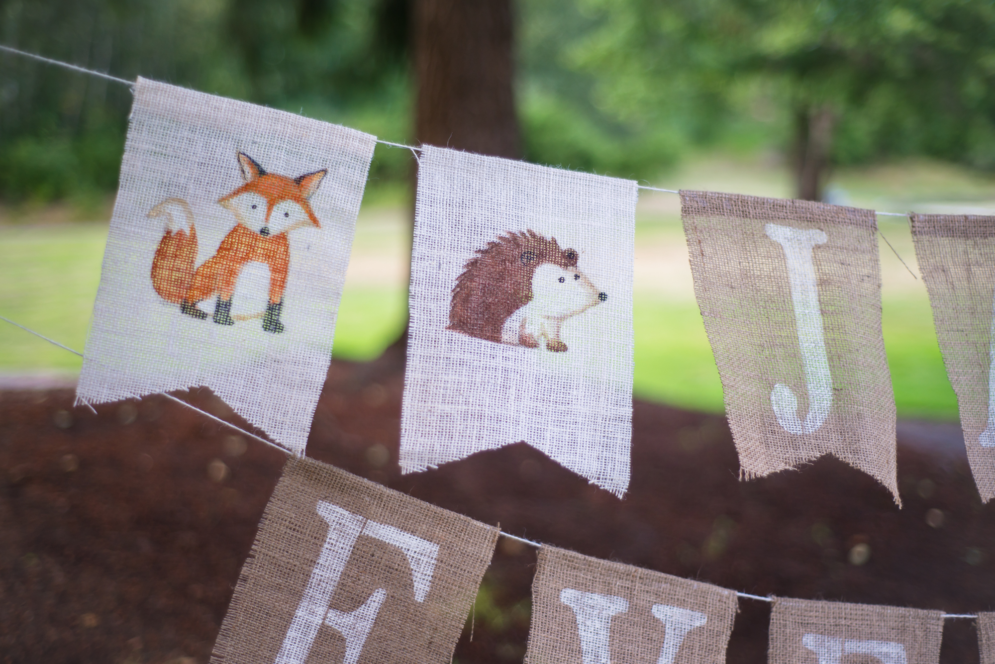 Woodland Themed Gender Reveal (+Adorable Rustic Forest Animal Bunting!)