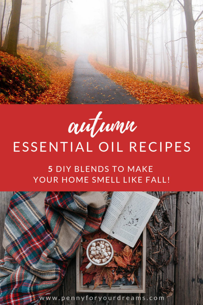 5 DIY Essential Oil Recipes for Your Diffuser