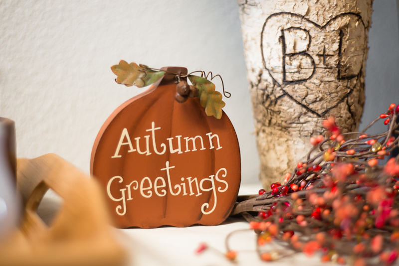 Rustic Autumn Decor and Our Current Plans