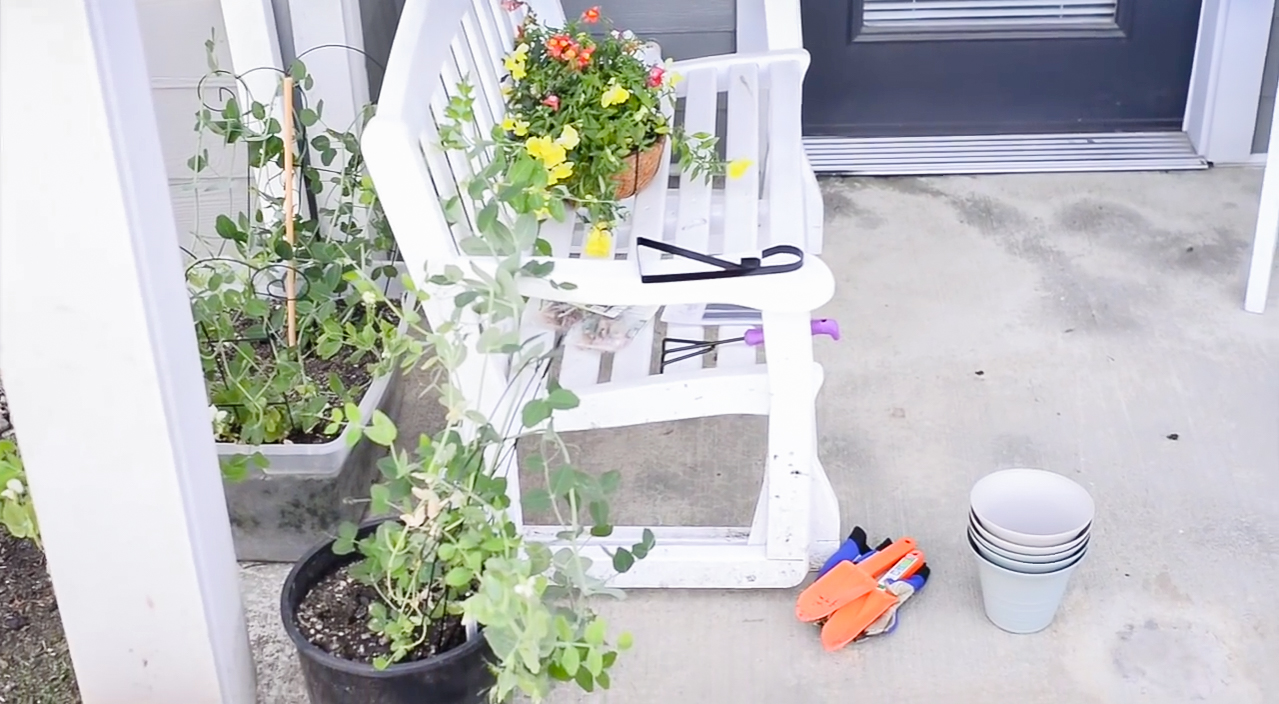 Apartment Patio Garden on a Budget | Before and After Photos & Video