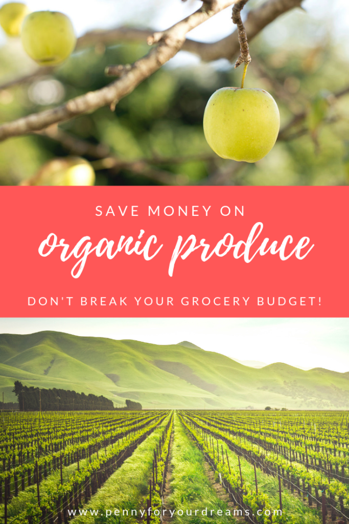 Save Money on Organic Produce